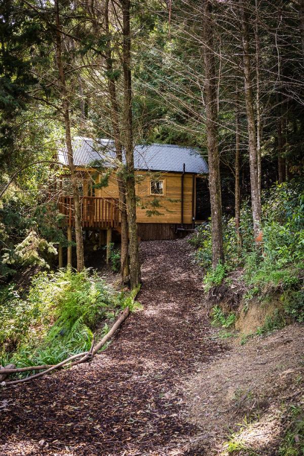 Maitai Whare Iti - Adventure Cabins & House Nelson Exterior foto
